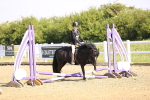 SBM_000084