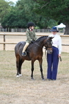 Burley Lodge Summer Show 2025 portfolio