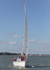 140525 ENERGY ELAN 33 WT7A2723