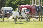 SBM_07750