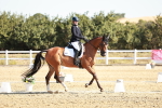 SBM_016931