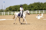 SBM_008617