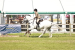 SBM_18534