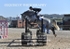 BPP_7431