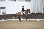 SBM_005784