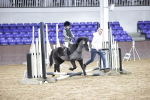 SBM_002937