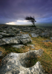 Wood and Stone