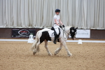 SBM_009290