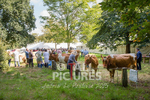 North Show_2014-1