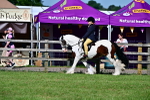SBM_09408