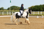 SBM_006988