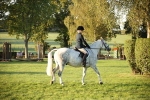 SBM_32262