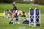 442-BICTON.INCREDIBLY.DUN-millie.jo.challinor-TrotUp+SJ portfolio