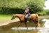 Thetford Endurance 2025 portfolio