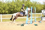 SBM_001260