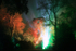 Westonbirt _WB038