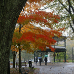 King's Square Saint John NB in Autumn