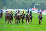 080925-Race 6-Rhapsody-9606
