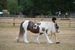 WJ6_7860