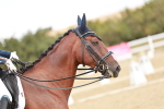 SBM_009505