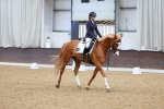 SBM_002863