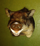 MONTERO