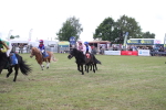 SBM_09960