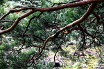 20100827_0218_2