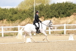 SBM_004279