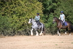 WJ6_7788