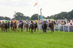 230824-Race 7-Treasure Time-8551