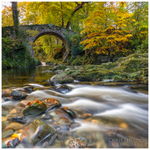 The Arched Bridge, Tollymore Forest (IMG0920)