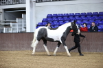 SBM_5253