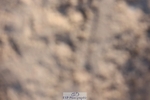 241201X-114112-00924