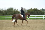 LAD_3651
