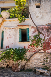 Growth - Crete