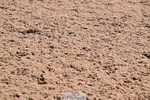260425-145034-16137