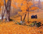 Istock #17474113