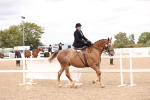 SBM_16393