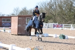 Cls 24 Young Horse 7YO Presentations portfolio