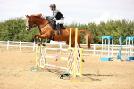 SBM_026992