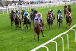 200826-Race 3-The Lost King-0436