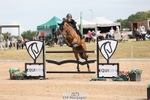 Cls 15, 1 Star Silver Tour Jump Off and Presentations portfolio