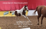JAC_6707