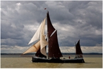 SB Thistle (1)