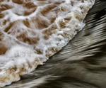 Weir on The Salwarpe