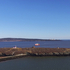 Partridge Island Saint John New Brunwick Canada Aerial Drone View