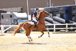 SBM_001334