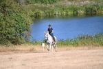 WJ6_7016