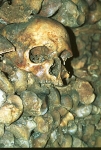 Paris  Catacombs - Paris, France